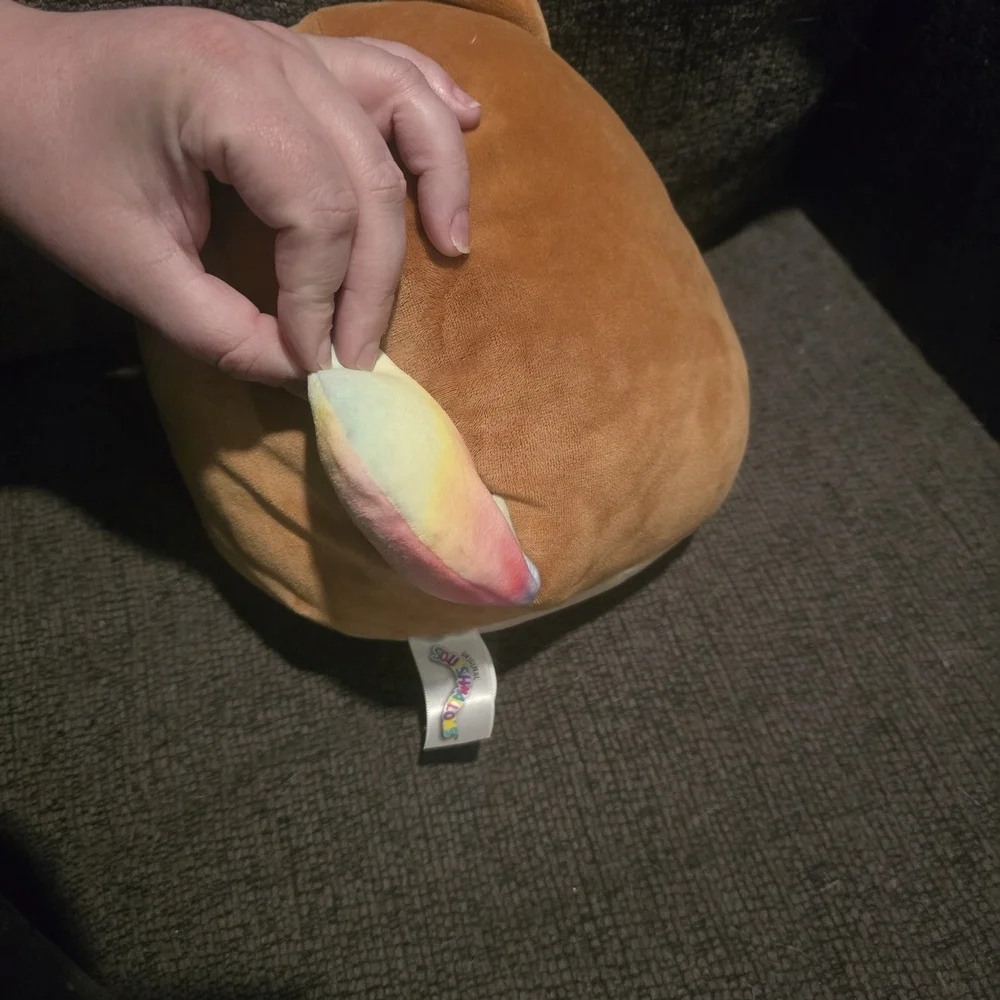 Squishmallows | Regina The Corgi Plush
